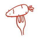 La Caravelle - restaurant MONTAUBAN